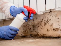 Best Mold Documentation for Insurance Claims  in Fulshear, TX